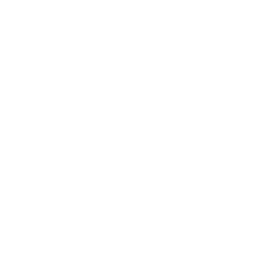 Logo Betbra