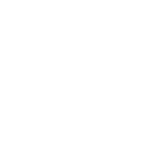 Logo Bolsa de Aposta
