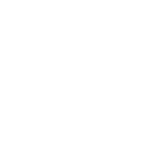 Logo Braveo
