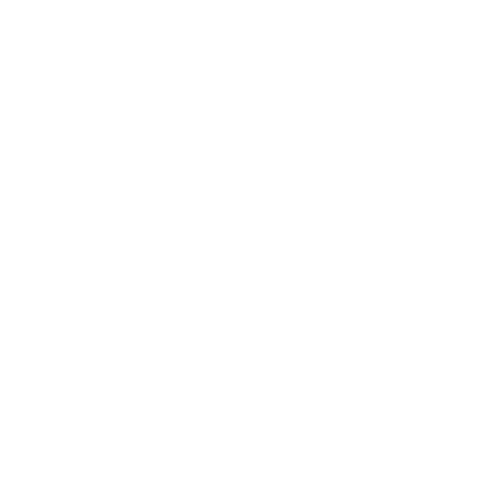 Logo Ford