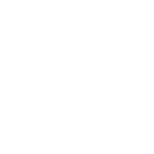Logo Google