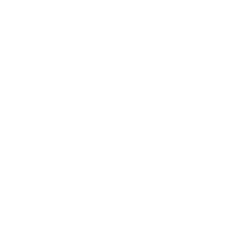 Logo Netshoes