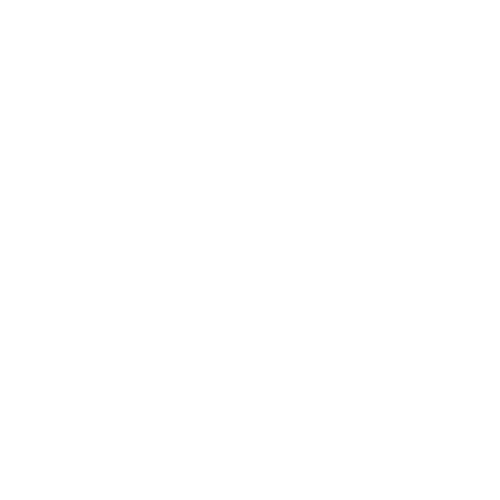 Logo Pinnacle