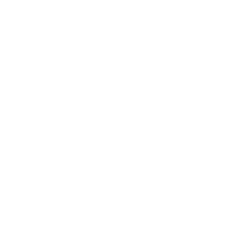 Logo Veloe